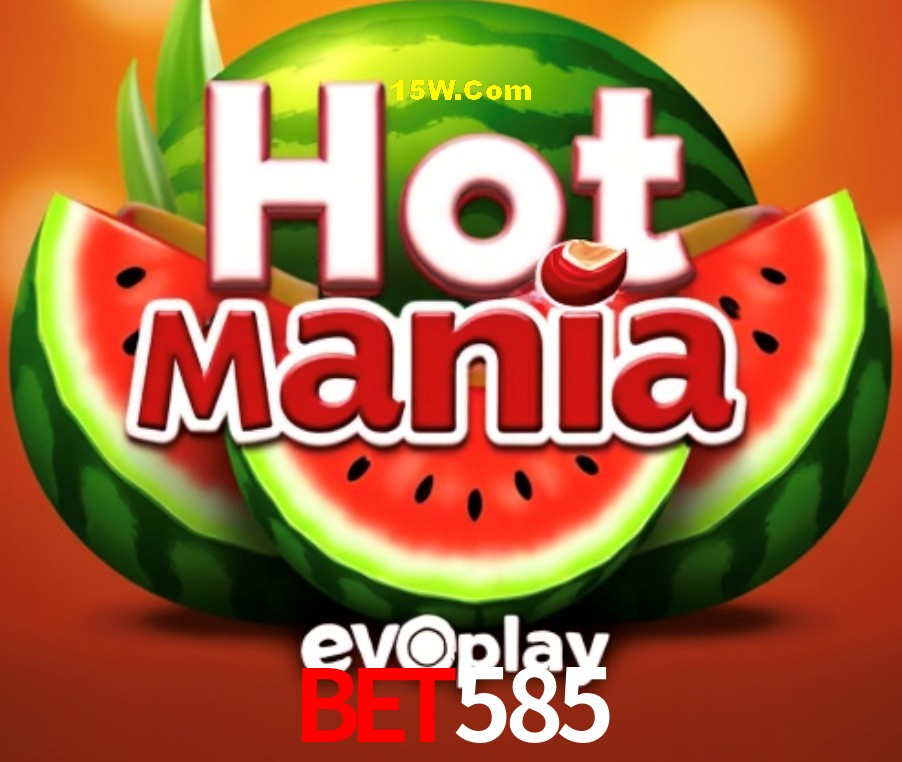 Experiência VIP Bet585